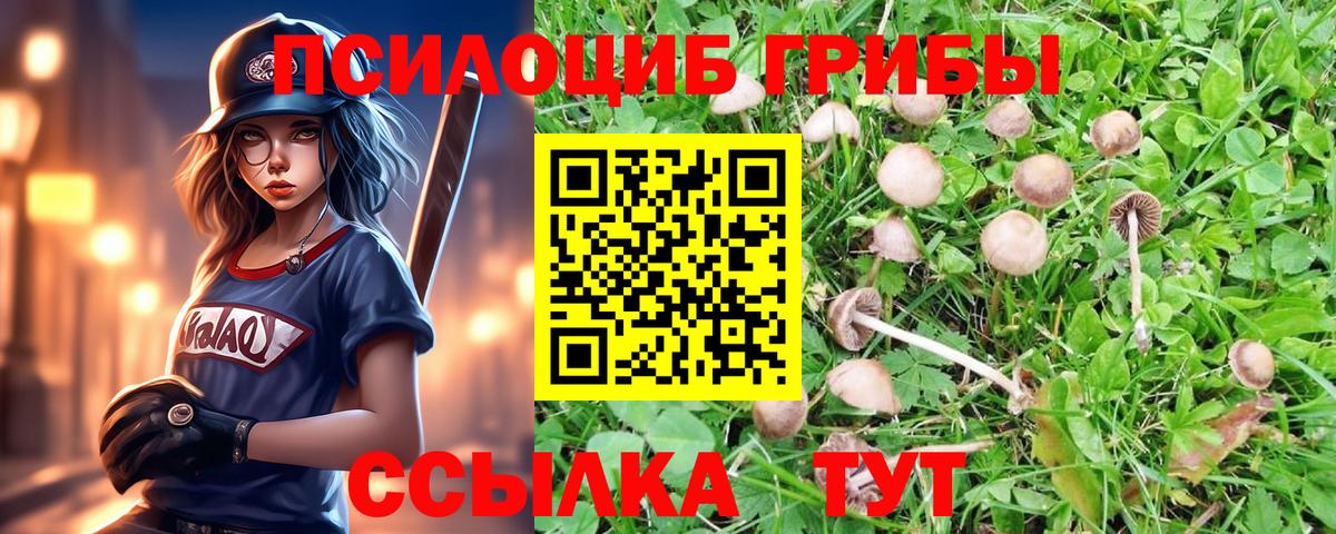 Мариинск  Псилоцибиновые грибы Psilocybine cubensis  Вход с VPN 