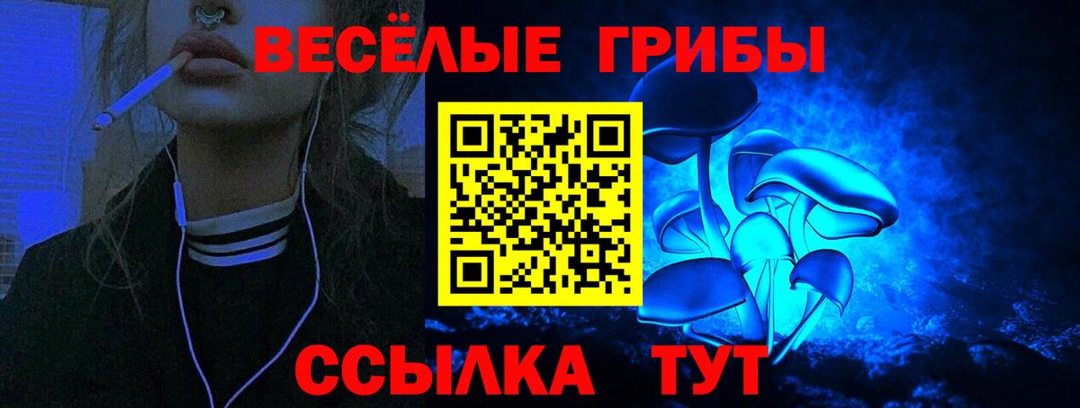 Псилоцибиновые грибы ЛСД Мариинск